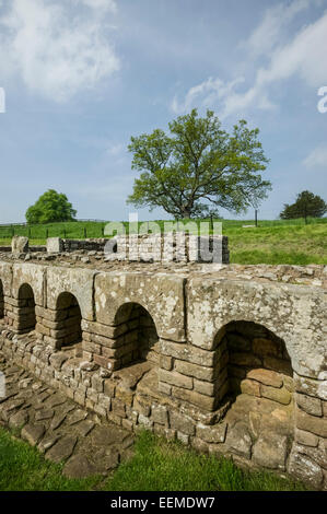 Hadrian Wall, Badehaus am Chesters Stockfoto