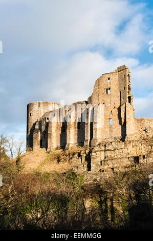 Barnard Castle, Teesdale, County Durham, Großbritannien. Die Ruinen des 12c normannische Burg stehen hoch über dem River Tees Stockfoto