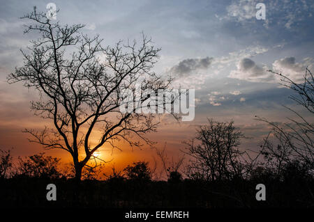 Sonnenuntergang über der Savanne, Burkina Faso. Stockfoto