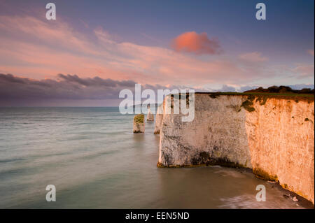 Ein Blick auf Handfast Punkt und Old Harry Rocks Stockfoto