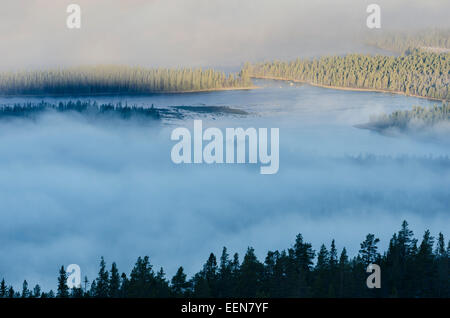 Morgennebel am See Galtsjoen, Engerdalsfjellet, Hedmark Fylke, Norwegen, Oktober 2011 Stockfoto