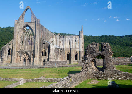 Tintern Abbey Monmouthshire Wye VAlley AONB South East Wales UK Stockfoto