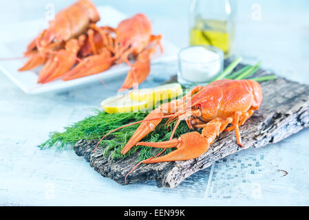 gekochte Krebs mit Lorbeer und frischem dill Stockfoto