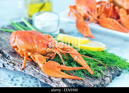 gekochte Krebs mit Lorbeer und frischem dill Stockfoto