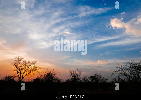 Sonnenuntergang über der Savanne, Burkina Faso. Stockfoto