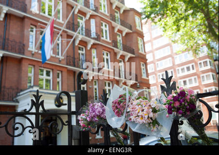 Floral Tribute am Eingang an die niederländische Botschaft in London bleiben einen Tag nach dem Abschuss eines Passagierflugzeuges Malaysian Airlines über die Ukraine, die eine große Anzahl niederländischer Staatsangehöriger durchgeführt.  Mitwirkende: Wo sehen: London, Vereinigtes Königreich bei: 18 Jul Stockfoto