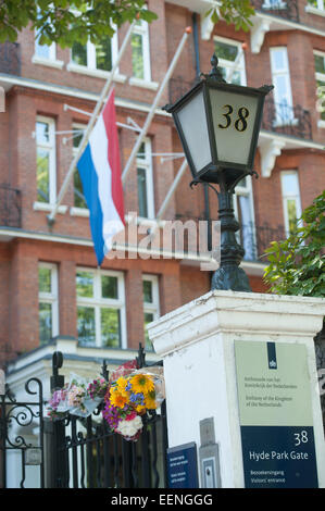 Floral Tribute am Eingang an die niederländische Botschaft in London bleiben einen Tag nach dem Abschuss eines Passagierflugzeuges Malaysian Airlines über die Ukraine, die eine große Anzahl niederländischer Staatsangehöriger durchgeführt.  Mitwirkende: Wo sehen: London, Vereinigtes Königreich bei: 18 Jul Stockfoto