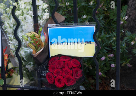 Floral Tribute am Eingang an die niederländische Botschaft in London bleiben einen Tag nach dem Abschuss eines Passagierflugzeuges Malaysian Airlines über die Ukraine, die eine große Anzahl niederländischer Staatsangehöriger durchgeführt.  Mitwirkende: Wo sehen: London, Vereinigtes Königreich bei: 18 Jul Stockfoto