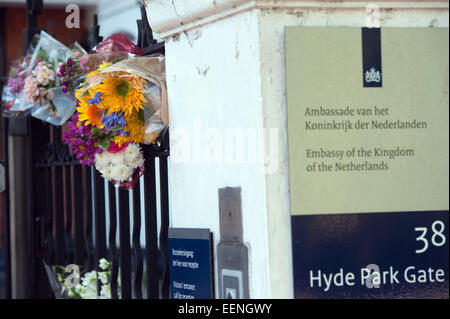 Floral Tribute am Eingang an die niederländische Botschaft in London bleiben einen Tag nach dem Abschuss eines Passagierflugzeuges Malaysian Airlines über die Ukraine, die eine große Anzahl niederländischer Staatsangehöriger durchgeführt.  Mitwirkende: Wo sehen: London, Vereinigtes Königreich bei: 18 Jul Stockfoto