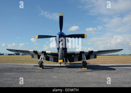 Zweiter Weltkrieg Ära Kämpfer p-51 Mustang Flugzeug Vorderansicht Stockfoto