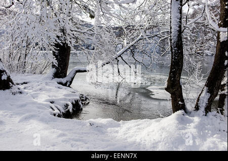 Winter Teich hinter den schneebedeckten Bäumen. Stockfoto