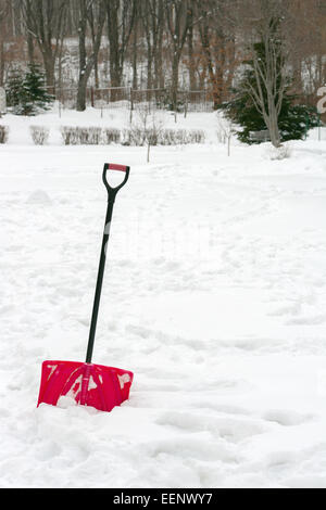 Roter Kunststoff Schaufel mit schwarzem Griff in flauschigen weißen Schnee stecken. Stockfoto