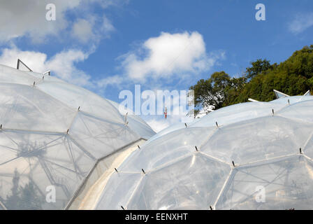 Eden Project, Cornwall mit Besucher auf der Seilrutsche über den Biomen fliegen. Stockfoto