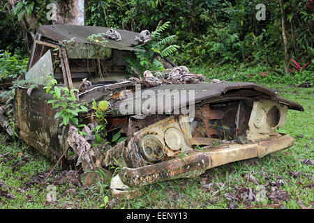 Altersschwachen rostigen alten Jeep J10-Pickup-Truck wird naturgemäß mit Farnen und Pflanzen, die von ihm zurückgefordert Stockfoto