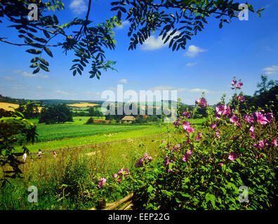 Weald und Downland Open Air Museum. South Downs. West Sussex. England. Stockfoto