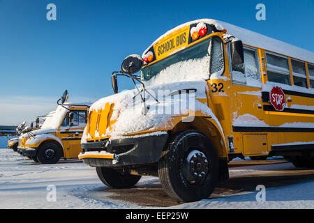 Schulbusse nach frischen Schneefällen. Stockfoto
