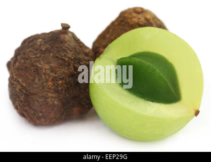 Amla Frucht - getrocknet und grün auf weißem Hintergrund Stockfoto