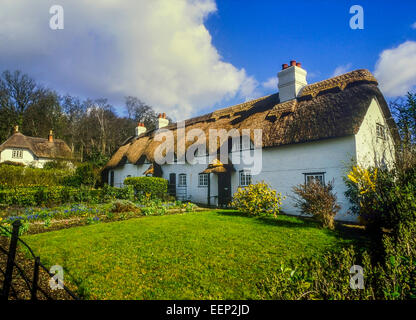 Strohgedeckten Hütten in Lyndhurst. New Forest. Hampshire Stockfoto