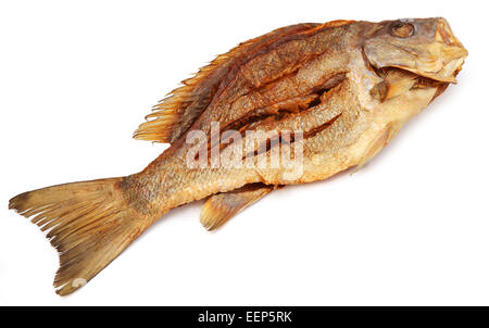 Barramundi oder Koral Fisch von Südostasien über weißem Hintergrund getrocknet Stockfoto