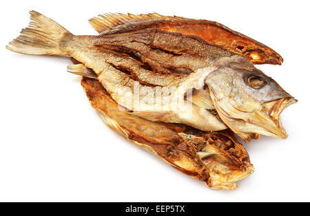 Barramundi oder Koral Fisch von Südostasien über weißem Hintergrund getrocknet Stockfoto