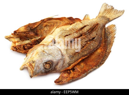 Barramundi oder Koral Fisch von Südostasien über weißem Hintergrund getrocknet Stockfoto