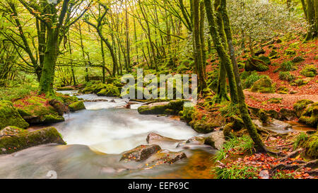 Fluss Fowey im Naturreservat Golitha fällt am Rand des Bodmin Moor Cornwall England UK Europe Stockfoto