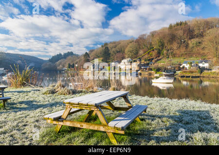 Frostiger Morgen neben dem Fluss while, Cornwall England UK Europa Stockfoto