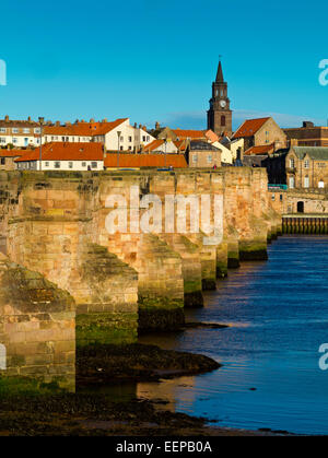 Die alte Brücke bei Berwick nach Tweed Northumberland England UK gebaut 1611 für James 1 of Scotland mit der Stadt sichtbar hinter Stockfoto