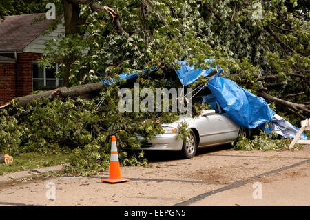 Eine Szene ist das ein Gewitter mit starkem Wind einen Baumstamm krachend auf ein Auto in einer Wohnstraße geschickt hat Stockfoto