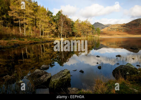 Blea Tarn in den Lake District National Park, Cumbria Stockfoto