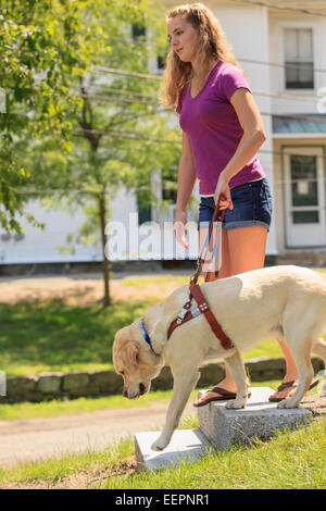 Service-Hund helfen, eine Frau mit Sehbehinderung Treppe hinunter Stockfoto