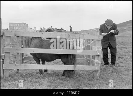 Nankai zeigen, Shetland.Wrong Signeage. Stockfoto