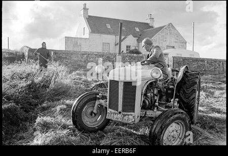 Nord-Verschachtelung. Stockfoto