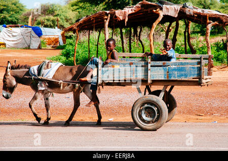 Jungs in einem Eselskarren, Mali. Stockfoto