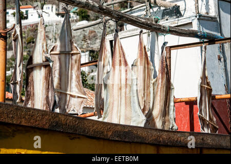 Reisen, Europa, Portugal, Madeira; Getrockneter Fisch, Stockfisch, Bacalhau Auf Einem Fischerboot Im Hafen von Camara de Lobos. Stockfoto