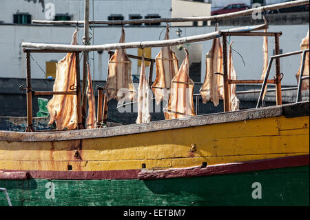 Reisen, Europa, Portugal, Madeira; Getrockneter Fisch, Stockfisch, Bacalhau Auf Einem Fischerboot Im Hafen von Camara de Lobos. Stockfoto