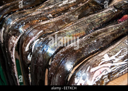 Scheide Fisch auf dem Fischmarkt in der Market Hall Mercado Dos Lavradores in Funchal, Madeira Stockfoto