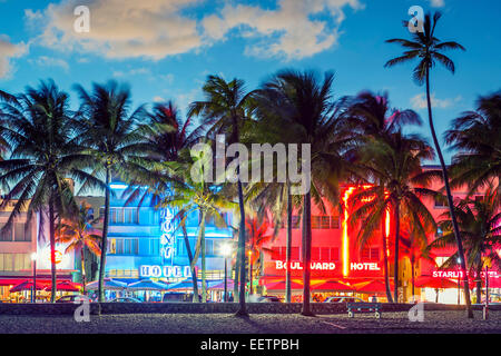 MIAMI, FLORIDA - 24. Januar 2014: Palmen säumen Ocean Drive. Die Straße ist die Hauptverkehrsstraße durch South Beach. Stockfoto