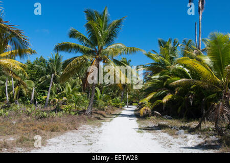 Cook-Inseln. Palmerston Island, einem klassischen Atoll wurde 1774 von Captain Cook entdeckt. Stockfoto