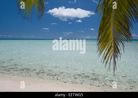 Cook-Inseln. Palmerston Island, einem klassischen Atoll von Captain Cook im Jahre 1774 entdeckt. Stockfoto