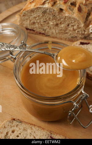 Manuka Honig produziert aus dem Nektar der Manuka oder Tee-Baum in Neuseeland und Australien. Stockfoto