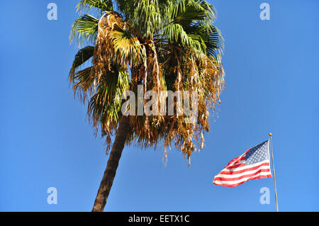 Beverly Hills, Los Angeles, CA, USA. Stockfoto