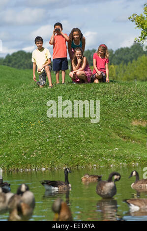 Kinder betrachten Enten im park Stockfoto