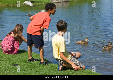 Kinder, die Enten im Wasser betrachten Stockfoto