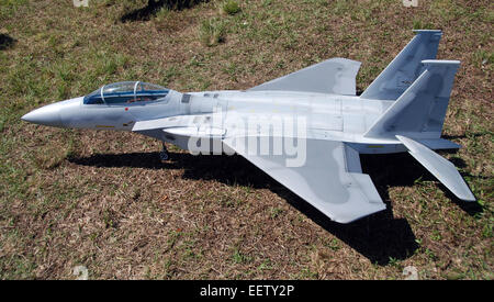 Skalierte Modell der modernen Kampfjet Flugzeug f-15 Stockfoto