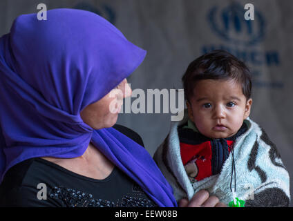 Yezedi Flüchtlinge aus Sinjar, Duhok, Kurdistan, Irak Stockfoto