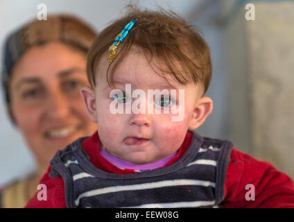 Yezedi Flüchtlinge aus Sinjar, Duhok, Kurdistan, Irak Stockfoto