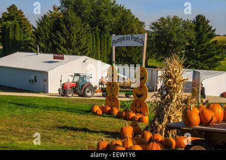 Kürbisse zum Verkauf an Shihatas Obstgarten und Apple House in der Nähe von Prairie du Chien, Wisconsin Stockfoto