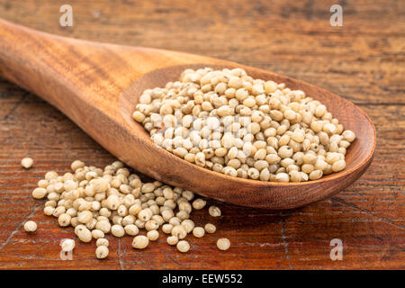 Gluten-freie Sorghum-Korn auf einem Holzlöffel gegen ein Grunge-Holz Stockfoto