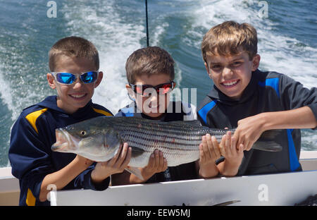 Bluefishing auf ein Charterboot in Clinton, CT, USA Stockfoto